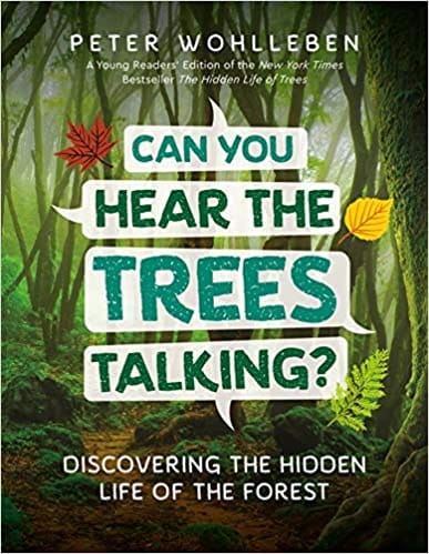 Can You Hear The Trees Talking? Discovering The Hidden Life Of The Forest