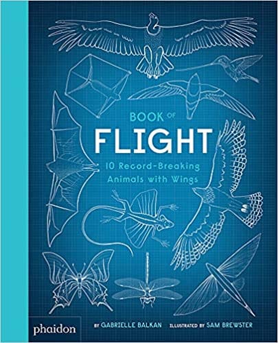 Book Of Flight 10 Record-breaking Animals With Wings
