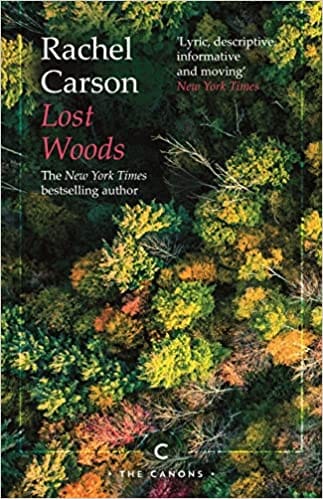 Lost Woods