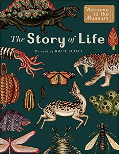 The Story Of Life Evolution