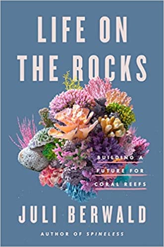 Life On The Rocks Building A Future For Coral Reefs