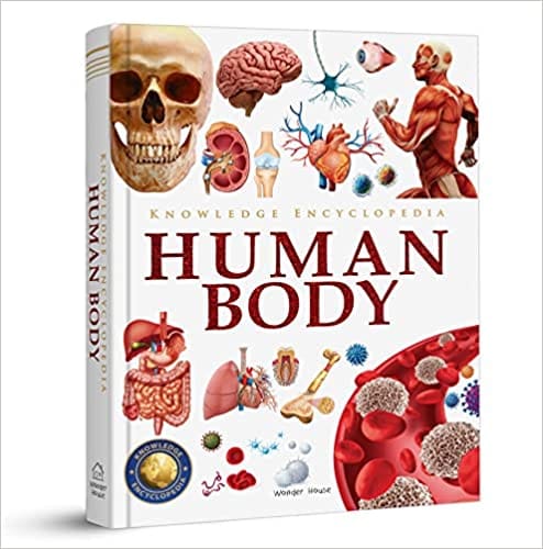 Human Body