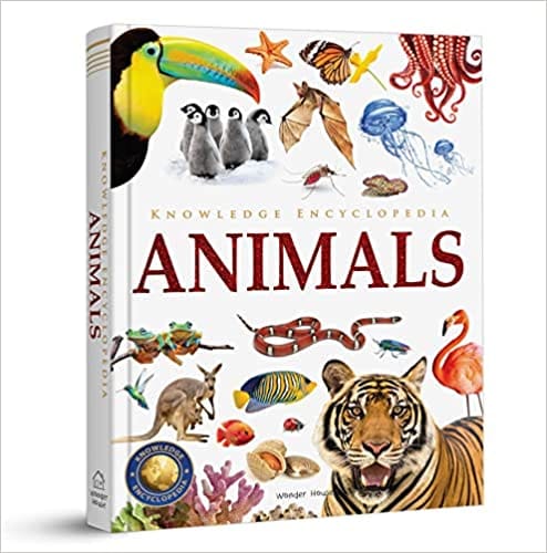 Animals