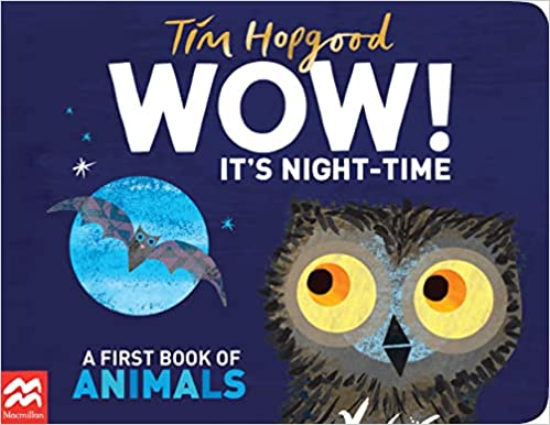 Wow! Its Night-time