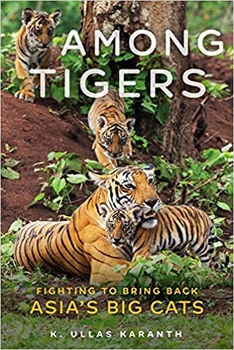 Among Tigers Fighting To Bring Back Asias Big Cats