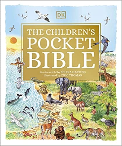 The Childrens Pocket Bible