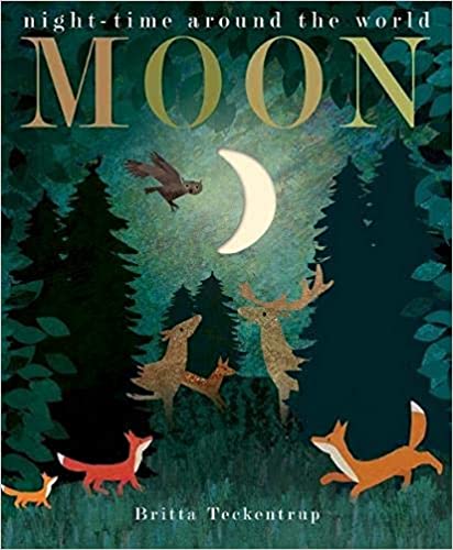 Moon Night-time Around The World