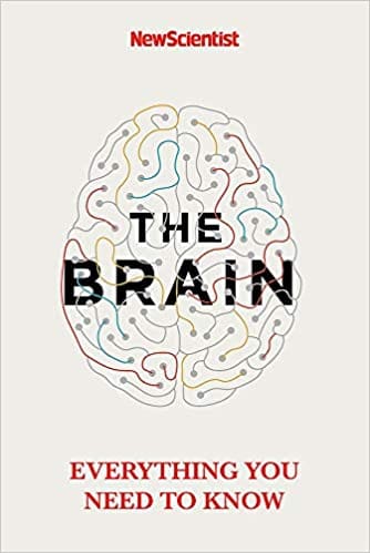 The Brain Everything You Need To Know