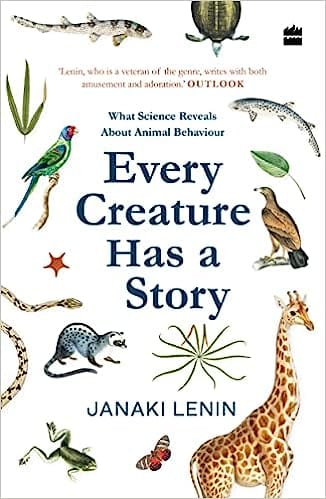 Every Creature Has A Story What Science Reveals About Animal Behaviour