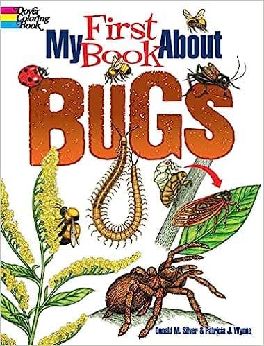 My First Book About Bugs