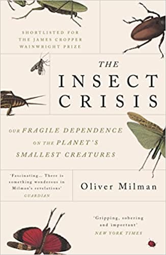 Insect Crisis, The Our Fragile Dependence On The Planets Smallest Creatures