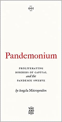 Pandemonium Proliferating Borders Of Capital And The Pandemic Swerve