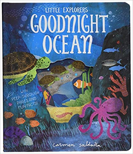 Goodnight Ocean