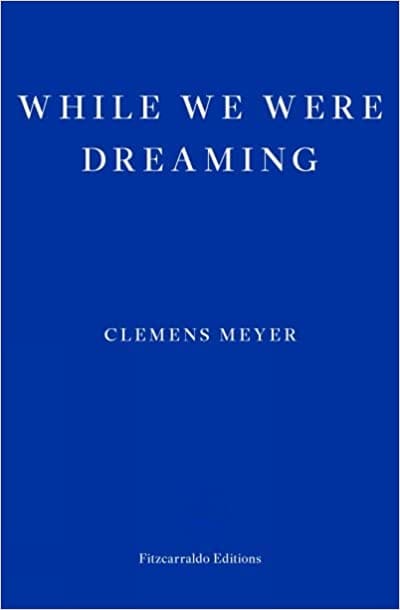 While We Were Dreaming