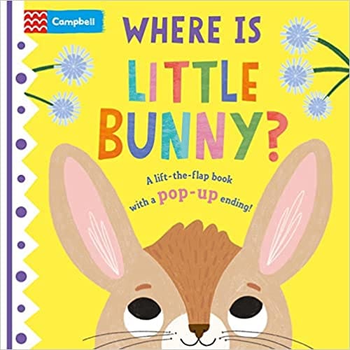 Where Is Little Bunny? The Lift-the-flap Book With A Pop-up Ending!