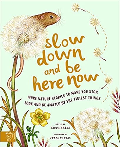 Slow Down And Be Here Now More Nature Stories To Make You Stop, Look And Be Amazed By The Tiniest Things