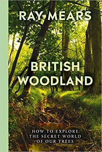 British Woodland How To Explore The Secret World Of Our Trees