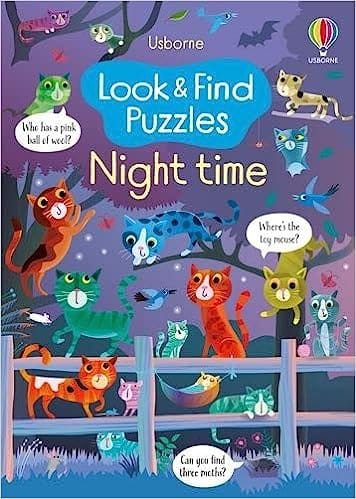 Look And Find Puzzles Night Time