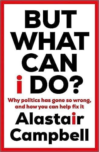 But What Can I Do? Why Politics Has Gone So Wrong, And How You Can Help Fix It