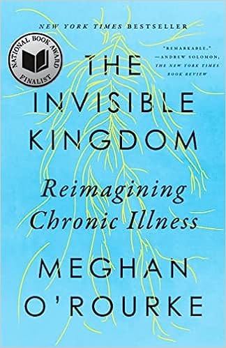 The Invisible Kingdom Reimagining Chronic Illness