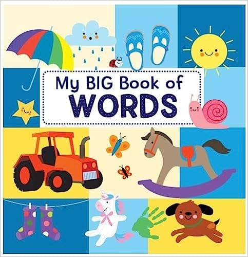 My Big Book Of Words