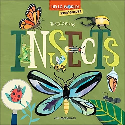Hello, World! Kids Guides Exploring Insects