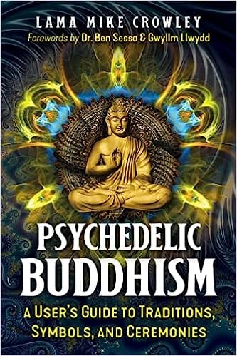 Psychedelic Buddhism A Users Guide To Traditions, Symbols, And Ceremonies Paperback