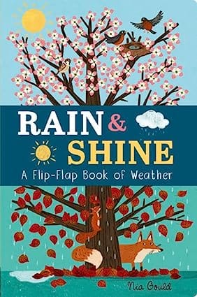 Rain And Shine A Flip-flap Book Of Weather