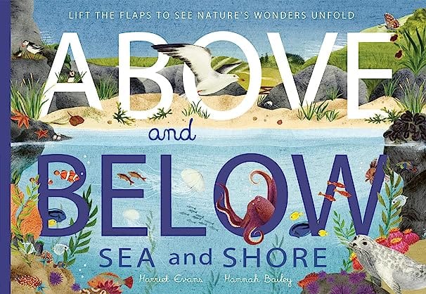 Above And Below Sea And Shore