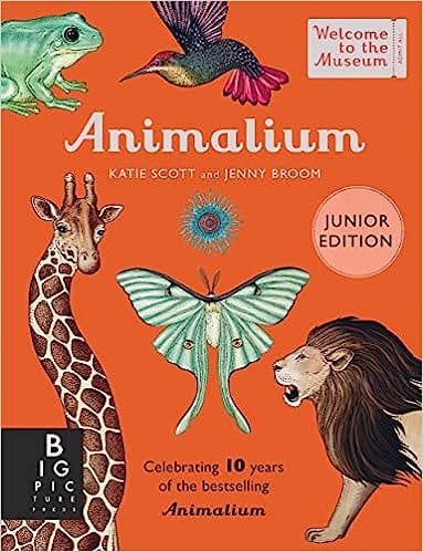 Animalium (junior Edition) (welcome To The Museum)