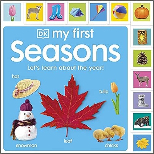 My First Seasons Lets Learn About The Year!