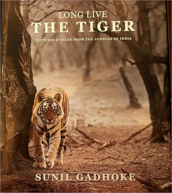 Long Live The Tiger