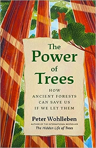 The Power Of Trees How Ancient Forests Can Save Us If We Let Them