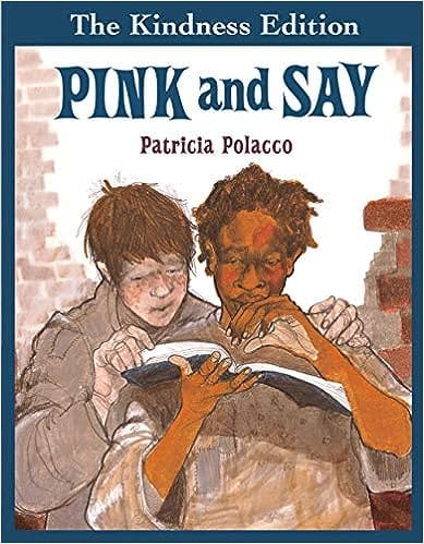 Pink And Say (the Kindness Editions)