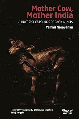 Mother Cow, Mother India A Multispecies Politics Of Dairy In India