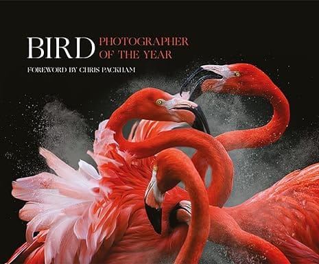 Bird Photographer Of The Year Collection 3