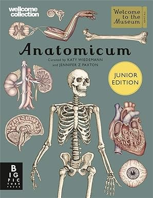 Anatomicum Junior Welcome To The Museum