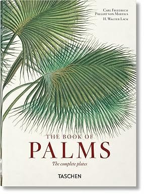 The Book Of Palms