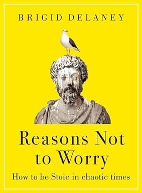 Reasons Not To Worry How To Be Stoic In Chaotic Times