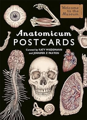 Anatomicum Postcard Box