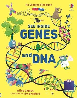See Inside Genes And Dna