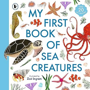 My First Book Of Sea Creatures