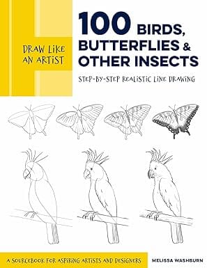 Draw Like An Artist 100 Birds, Butterflies, And Other Insects Step-by-step Realistic Line Drawing