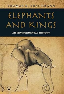 Elephants And Kings