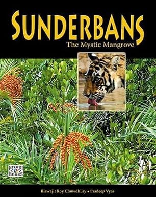 Sunderbans The Mystic Mangrove