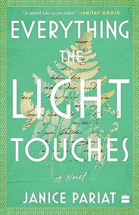 Everything The Light Touches A Novel