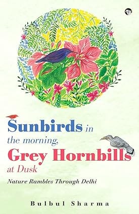 Sunbirds In The Morning, Grey Hornbills At Dusk Nature Rambles Through Delhi