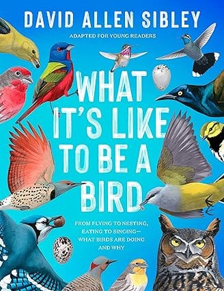 What Its Like To Be A Bird From Flying To Nesting, Eating To Singing--what Birds Are Doing And Why