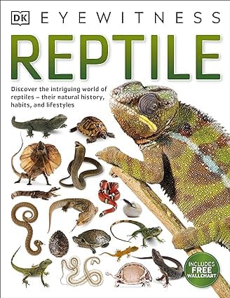 Reptile