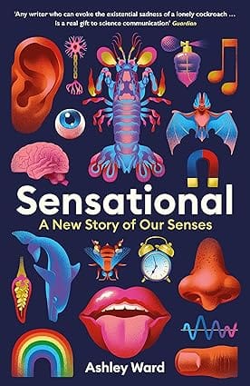 Sensational A New Story Of Our Senses